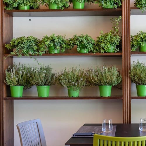 Alici Trattoria Di Mare, Capaccio