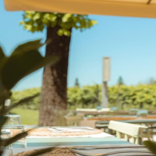 Romanzo Ristorante, Carpi