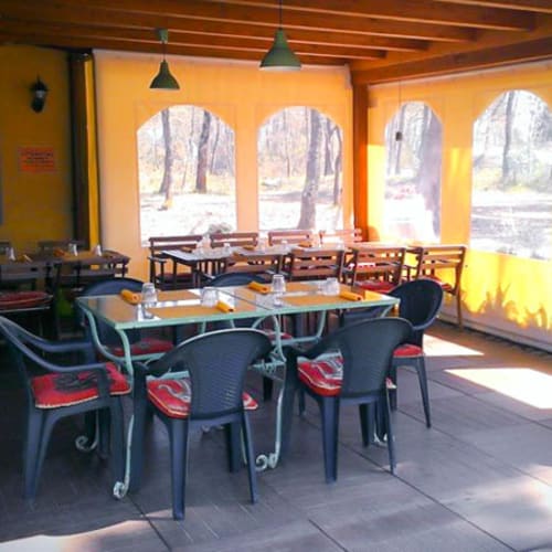 Vinile, San Casciano In Val Di Pesa