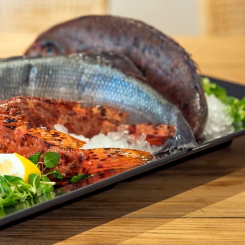 Terra Mossa, Alberobello