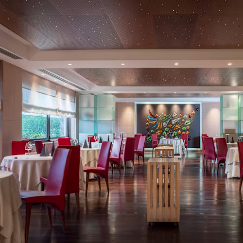 A Spurcacciuna, Savona