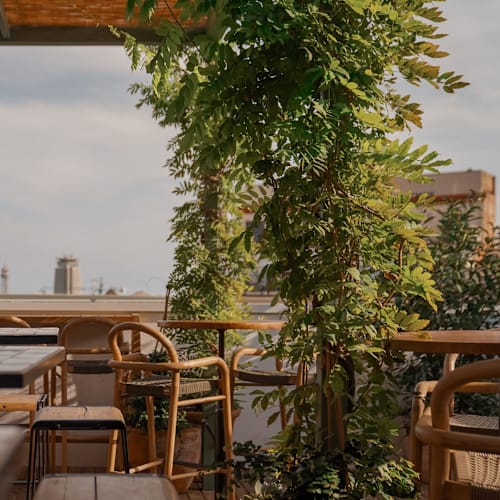 La Terraza del Pulitzer, Barcelona