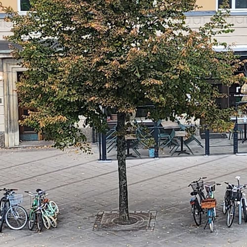 Rara, Stockholm