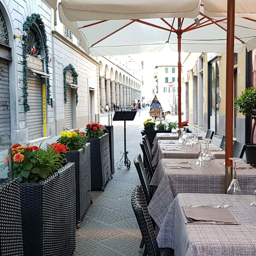 La Falterona, Firenze