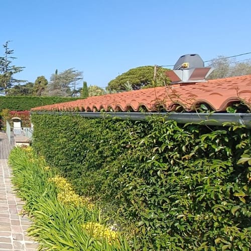 Le Fab Restaurant, Antibes