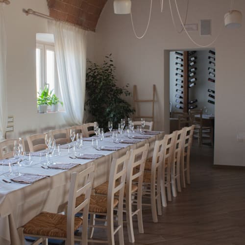 Fattoria L'Olmetto, San Giuliano Terme