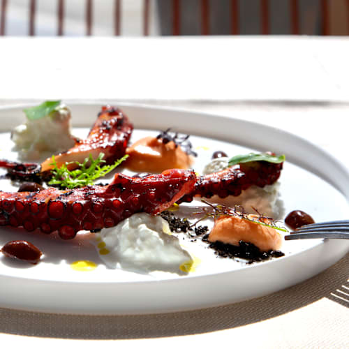 Bruna Bistrò, Senigallia