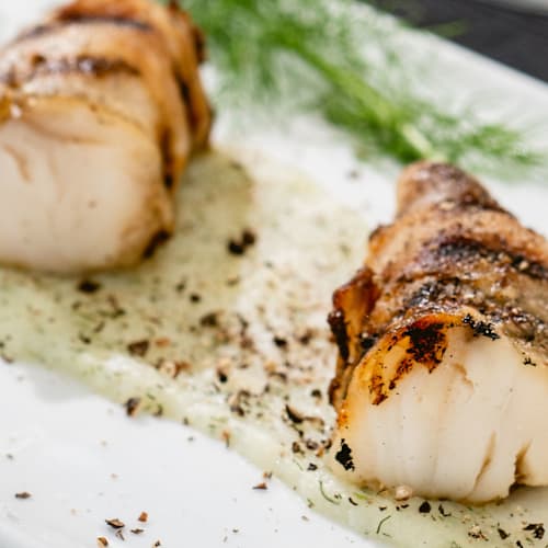 Bruna Bistrò, Senigallia