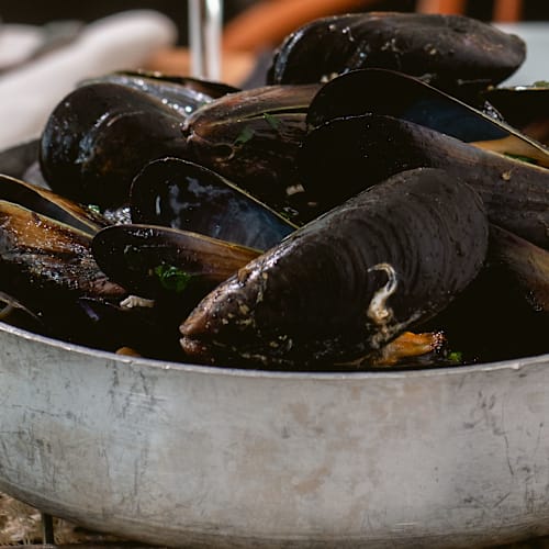 Bruna Bistrò, Senigallia