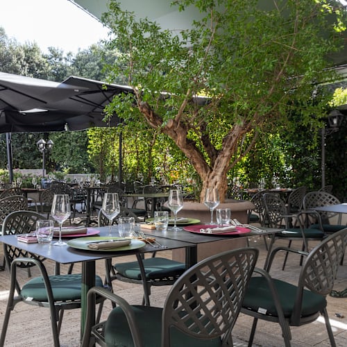 Caffe delle Arti, Roma