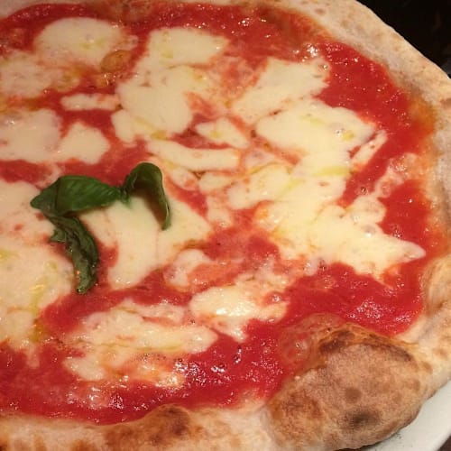 Cook Tarantella, Frascati
