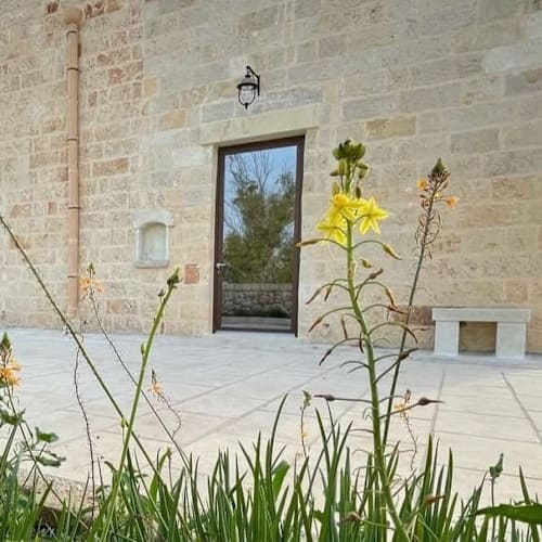 Masseria Voluzzi, Copertino