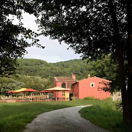 Cucina Dello Scompiglio, Capannori