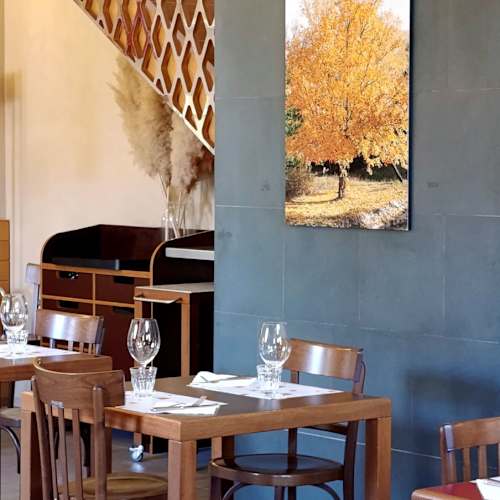 Cucina Dello Scompiglio, Capannori