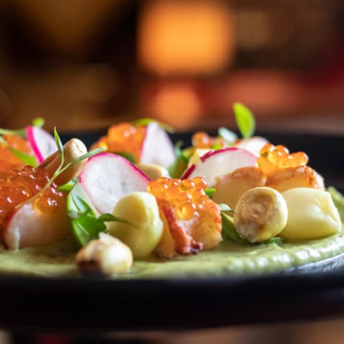 Le Club Sushita, Madrid