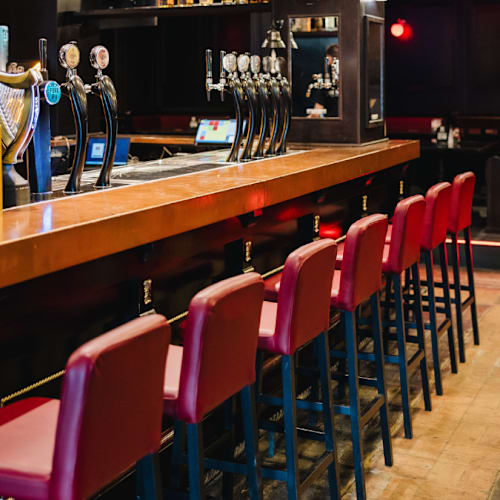 Snakebite - Public House, Teramo