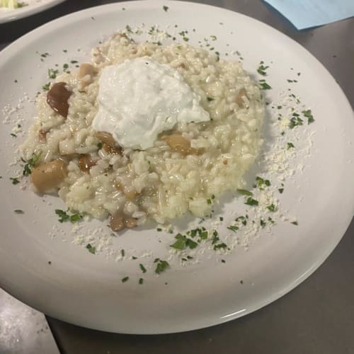 Isola di Sapore, Gallarate