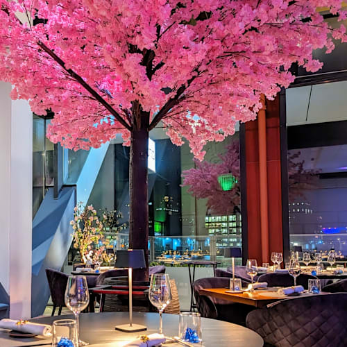 Ono, Rotterdam