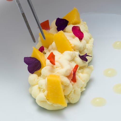 Spoon, Teramo