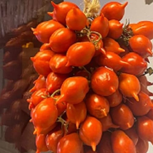 Dado Pizzeria Gourmet, Genova