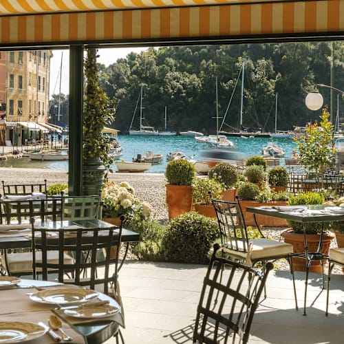 DaV Mare, Portofino