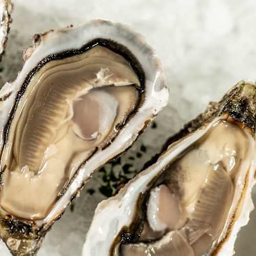 Antica Arilica, Peschiera del Garda