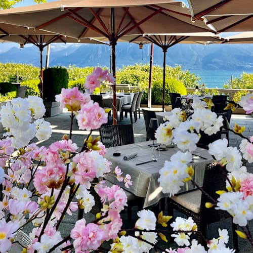 Manabu, Vevey