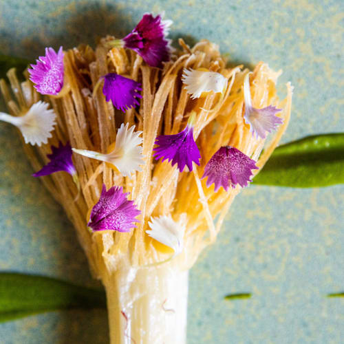 Le Jardin de Berne, Flayosc