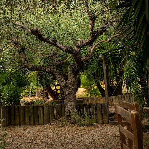 Agriturismo Col Morino, Pineto