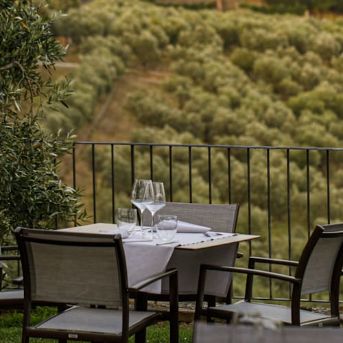 La Cantina del Redi, Artimino