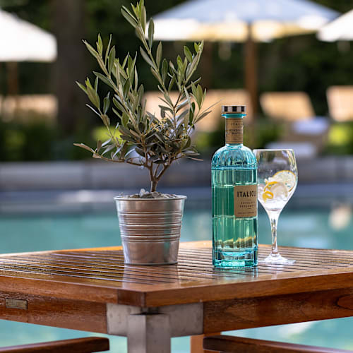 Poolside at InterContinental Genève, Genève