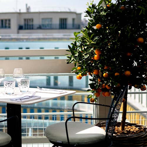 ROOFTOP MOLITOR, Paris