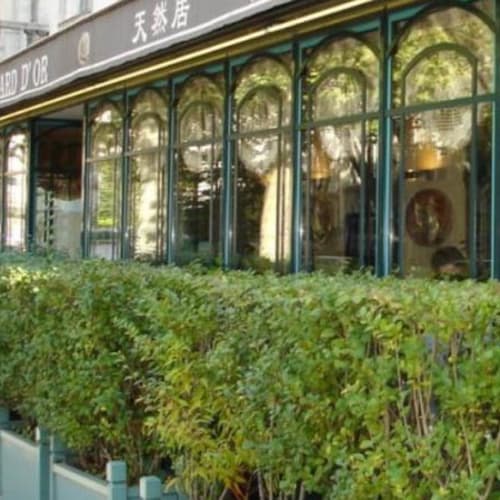 Le Canard d'Or, Versailles