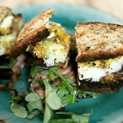 bar terre fauve, Montauban