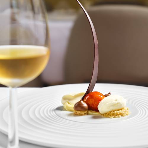 Il Gattopardo, Rotterdam