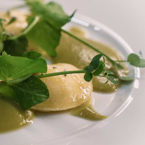 Il Gattopardo, Rotterdam