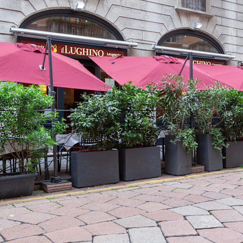 Il Lughino, come Natura Insegna (Viale Solferino), Milano