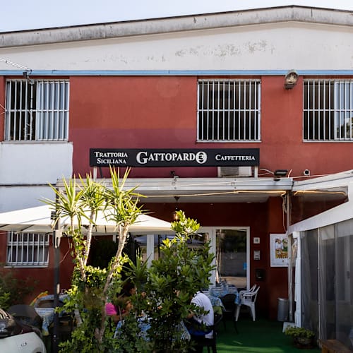 Gattopardo Rho, Rho