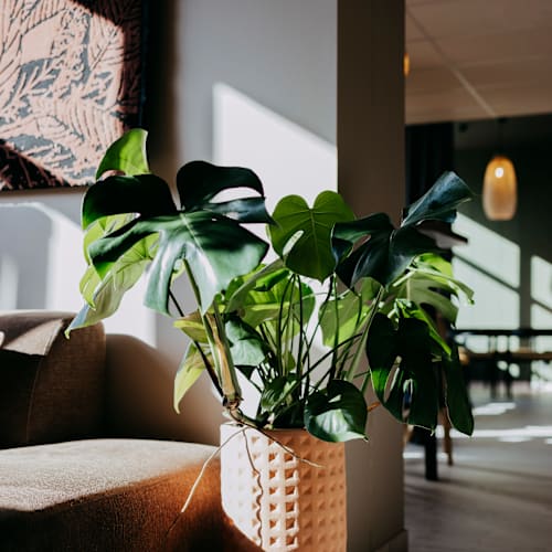 Le Patio - Oceania Hotel Lyon, Lyon