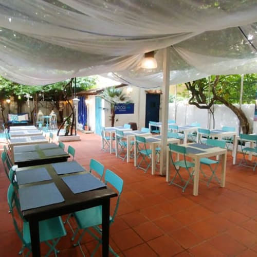 7 Scogli, Firenze
