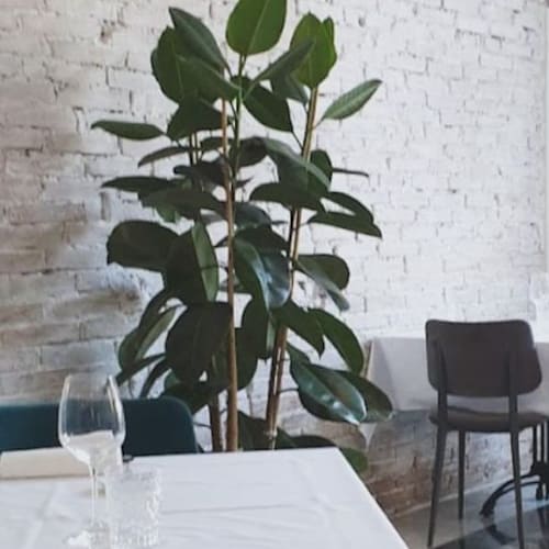 Ristorante Pizzeria Mibia, Parma
