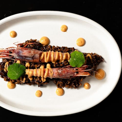  Insolent, Barcelona
