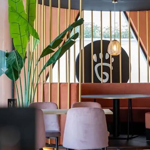 Giungla Altea, Altea