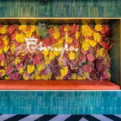 Giungla Altea, Altea