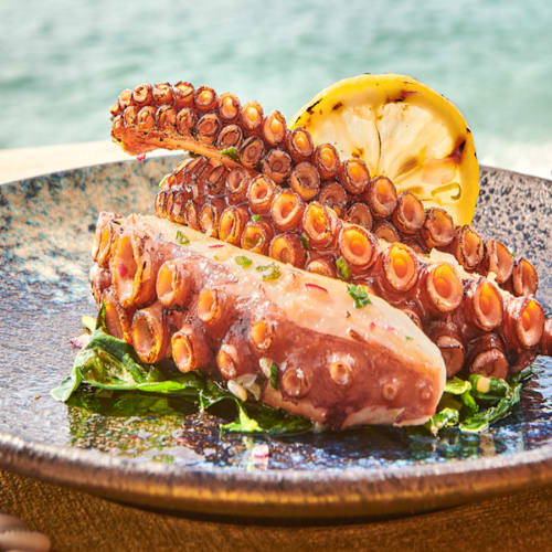 Mademoiselle Gray - Plage Barrière, Cannes