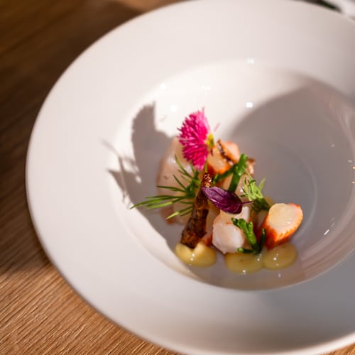 ELO Food Based, Amsterdam