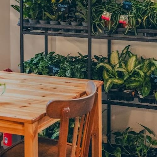 Les Dimanches chez Lou, Lyon