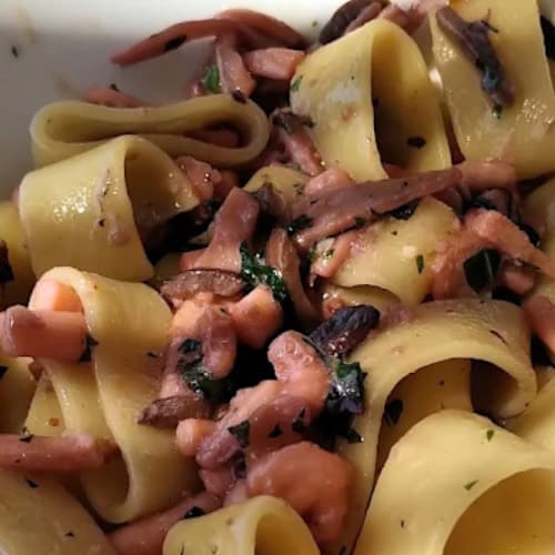 Bagno Ristorante il Cavallone, Camaiore