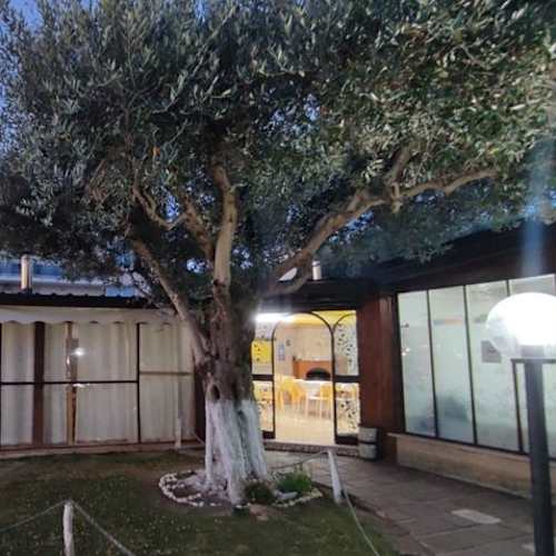 Il Giardino, Caserta