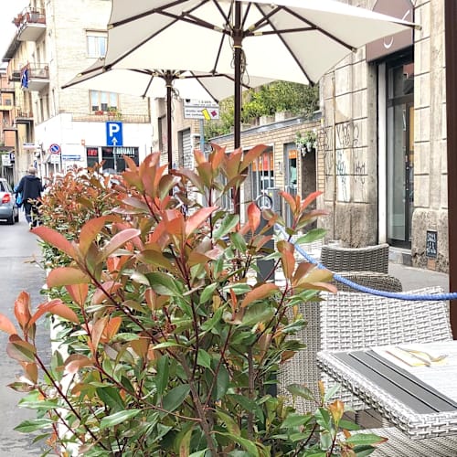 Ristorante Scilla Milano, Milano